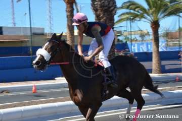 Carreras de caballo de las fiestas de San Juan 2018 de Telde (Foto Francisco Javier Santana)